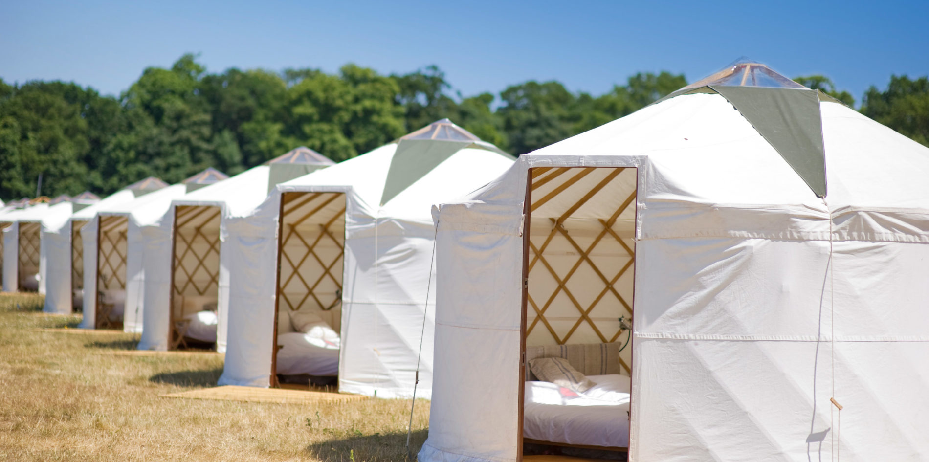 rows of yurts - luxury yurt camping accommodation
